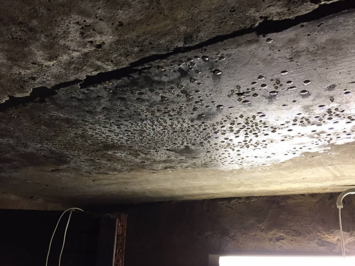 Конденсат в погребе