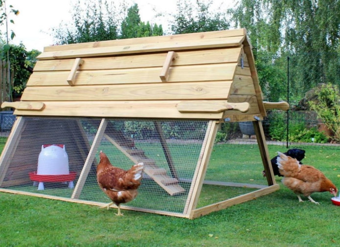 треугольный курятник