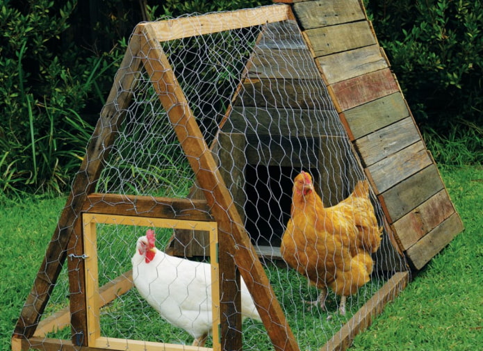 переносной курятник