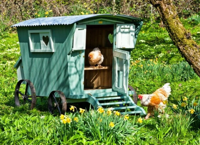 курятник кибитка