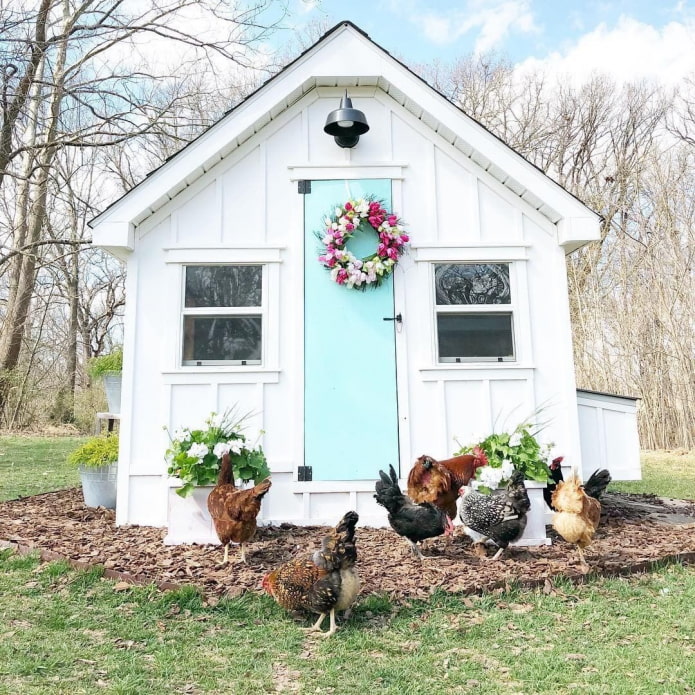 курятник в виде дачного домика