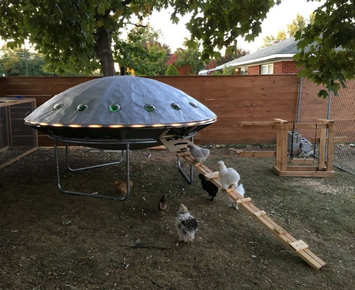 курятник НЛО